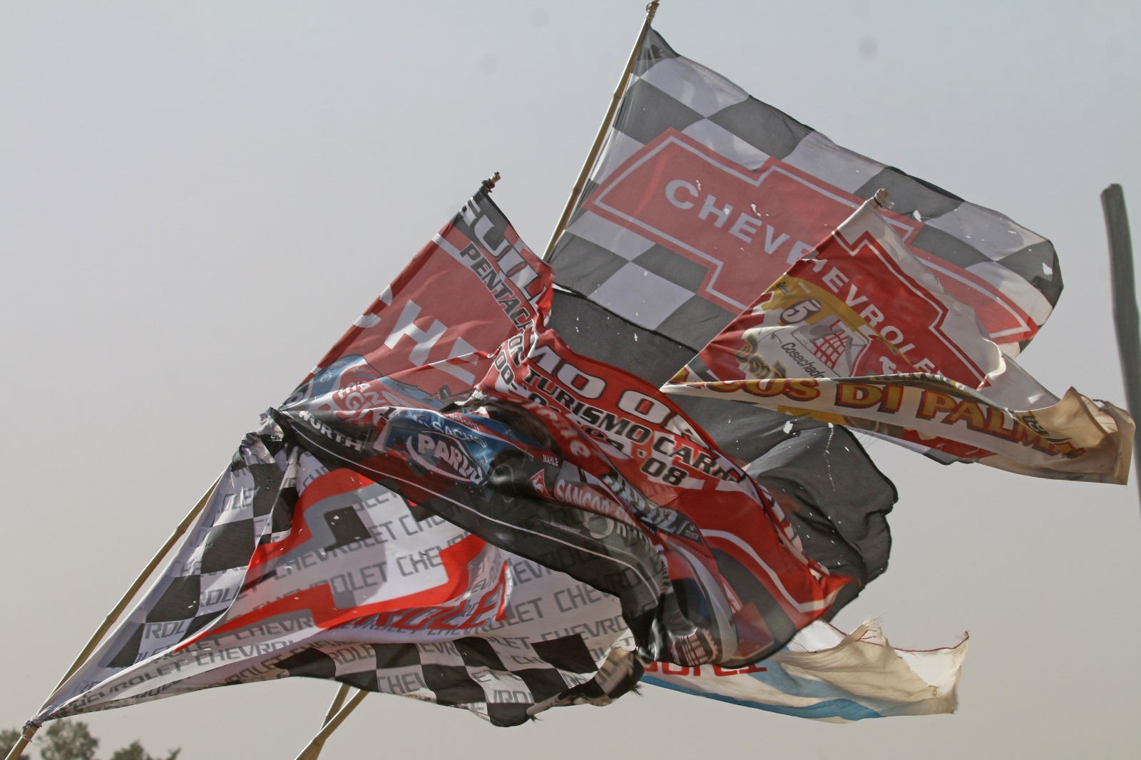 Galería de imágenes del domingo en el foco de Berna Bosco: 55.jpeg