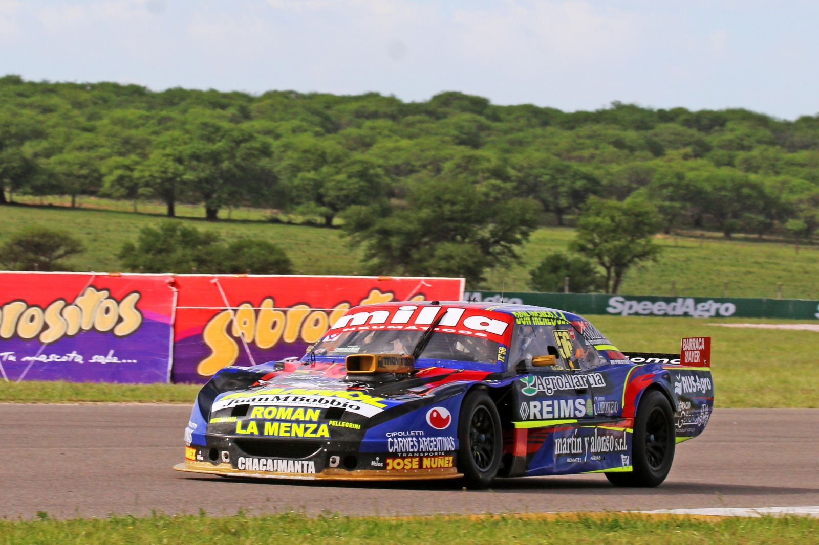 LAS MEJORES IMÁGENES EN EL FOCO DE BERNA BOSCO: 01.jpeg